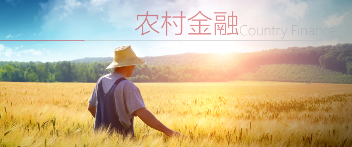 农村金融